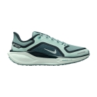 Nike Pegasus 41 GTX - Cannon/Bleached Turquoise/Barely Green