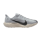 Nike Pegasus Plus - Pure Platinum/Anthracite/Wolf Grey/Sail