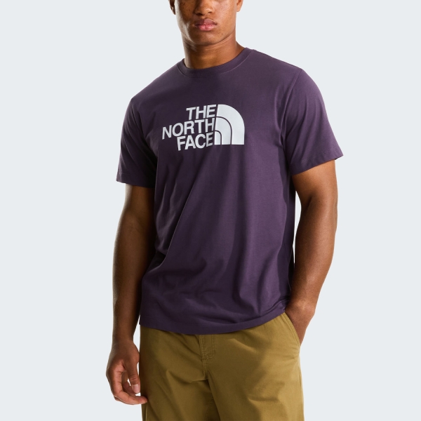 Men's Sportswear T-Shirt and Polo The North Face Evolution Half Dome TShirt  Endless Dusk NF0A8B6JG5O