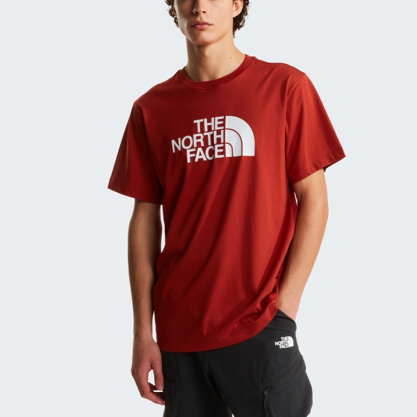 Men's Sportswear T-Shirt and Polo The North Face Evolution Half Dome TShirt  Iron Clay NF0A8B6JG6I