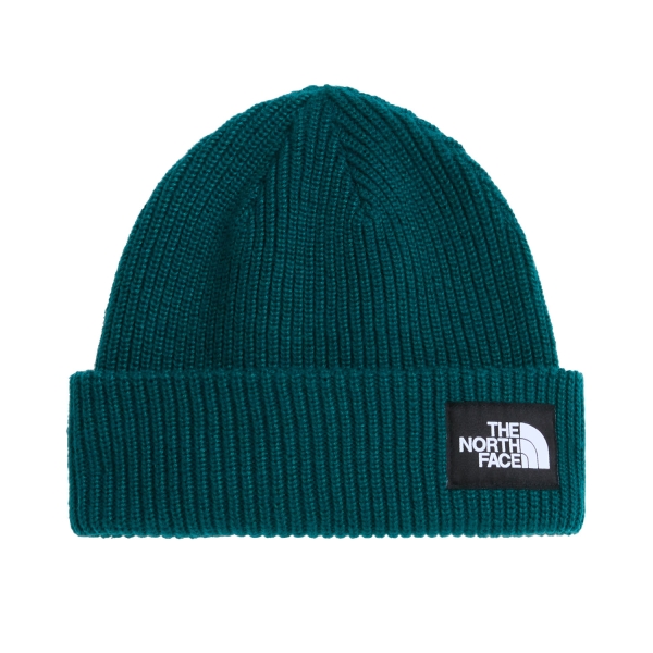 Beanies The North Face Salty Lined Beanie  Pacific Teal NF0A8CGZN4J