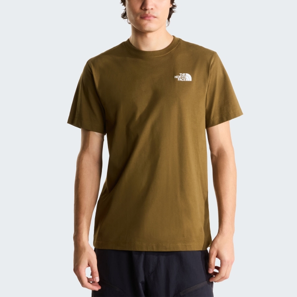 Men's Sportswear T-Shirt and Polo The North Face Evolution Box NSE TShirt  Caraway Seed NF0A8B6K2EK
